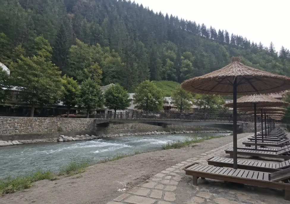 Сауле М.
