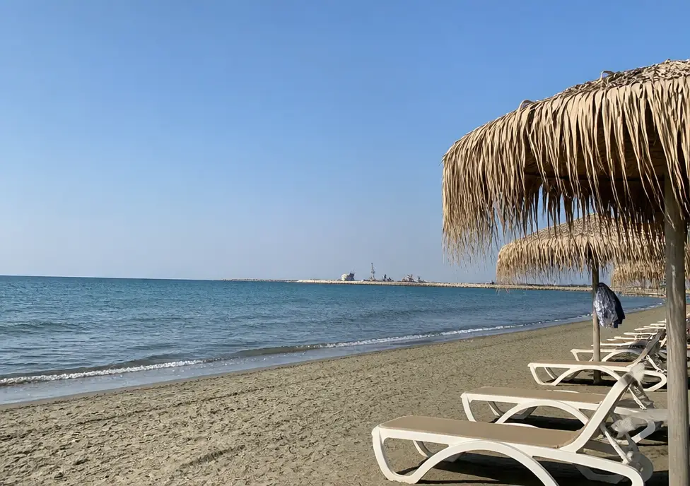 Сауле М.