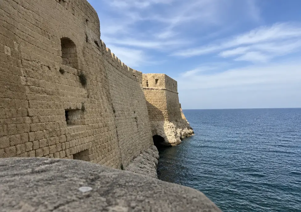 Виктория Ким