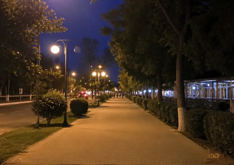 Айгүл С.